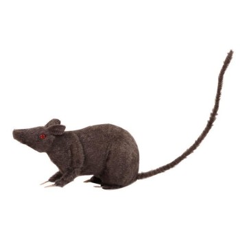 Rat gris