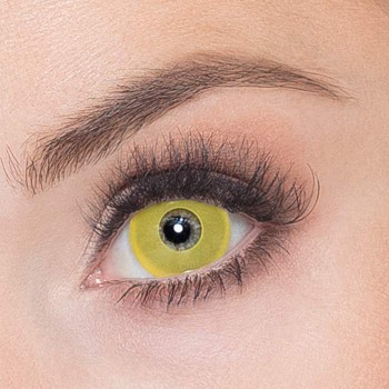 Lentilles corbeau jaune