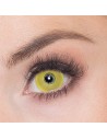 Lentilles corbeau jaune