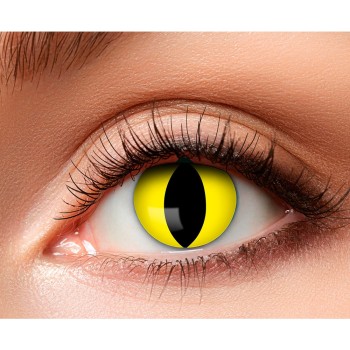 Lentilles oeil de chat jaune