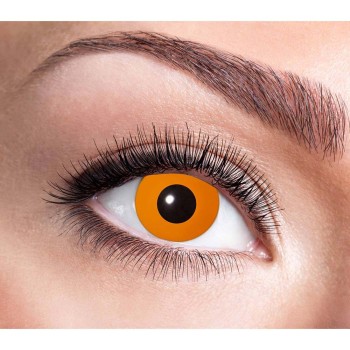 Lentilles Halloween orange