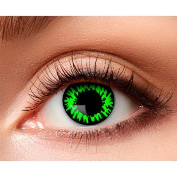 Lentilles loup vert