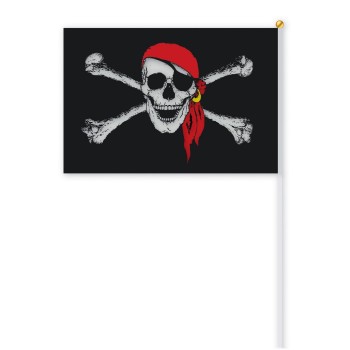 Drapeau pirate tête de mort avec manche