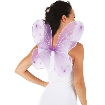 Ailes de papillon violettes