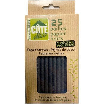 25 pailles noires papier