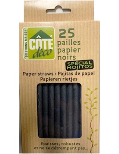 25 pailles noires papier