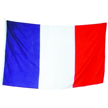 Drapeaux France grande taille