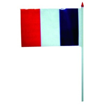 Drapeau plastique France