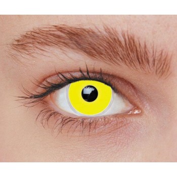 Lentilles iris jaune