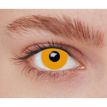 Lentilles iris orange