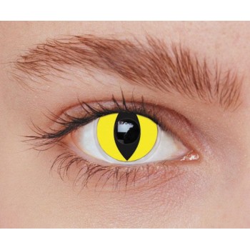 Lentilles iris chat jaune