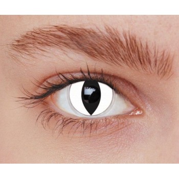 Lentilles iris chat blanc