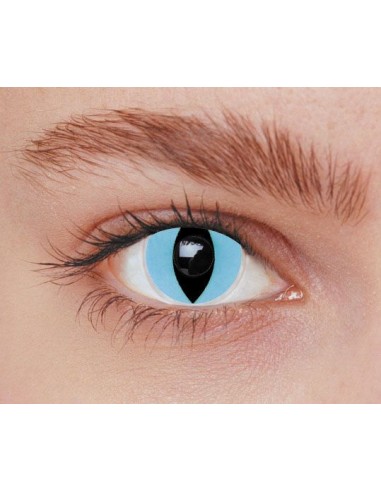 Lentilles iris chat bleu